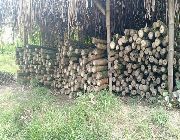 kawayan bamboo -- Home Tools & Accessories -- Batangas City, Philippines