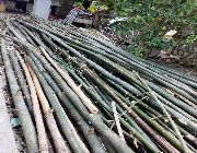 kawayan bamboo -- Home Tools & Accessories -- Batangas City, Philippines