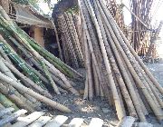 kawayan bamboo -- Home Tools & Accessories -- Batangas City, Philippines
