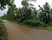 700K 1,840sqm Residential Lot for Sale in Tipolo Ubay Bohol -- Land -- Bohol, Philippines