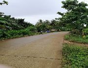 700K 1,840sqm Residential Lot for Sale in Tipolo Ubay Bohol -- Land -- Bohol, Philippines