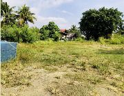 Residential Lot for Sale in Davao -- Land -- Davao City, Philippines