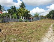 Industrial Lot for Sale in Davao -- Land -- Davao City, Philippines