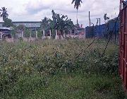 Industrial Lot for Sale in Davao -- Land -- Davao City, Philippines