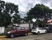 Marcelo Green Lot for sale -- Land -- Paranaque, Philippines