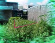 lot for sale -- House & Lot -- Laguna, Philippines