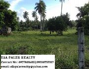 Lot for sale -- Land -- Albay, Philippines
