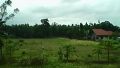 lot for sale 1 hecta, -- Land -- Batangas City, Philippines