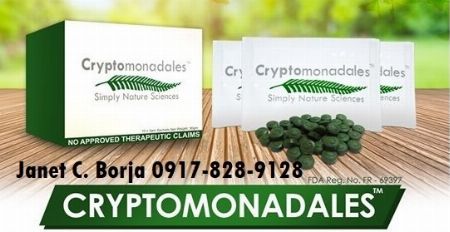 Crypto, Cryptomonadales, Crypto PPARs, Simply Nature PPARs, Doc. Atoie Arboleda, Cancer, Diabetes, Lupos, Prostate -- Everything Else -- Metro Manila, Philippines