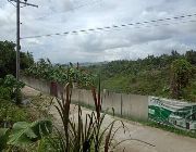 forestville -- House & Lot -- Cebu City, Philippines