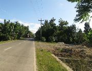 BOHOLANA REALTY -- Land -- Bohol, Philippines