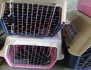 Pet carriers, dogs, animals, cats, sturdy, strong, pets, travel, transport, sale, Cebu Pacific, NAIA -- Other Business Opportunities -- Metro Manila, Philippines