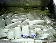 Block Ice Maker Mini Ice Plant Tube Ice Machine Freezer -- Refrigerators & Freezers -- Metro Manila, Philippines