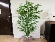 BAMBOO Plant Tree Flowers -- All Home Decor -- Quezon City, Philippines