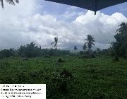Raw Land -- Land & Farm -- Camarines Sur, Philippines