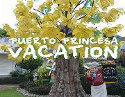 3 Days 2 Nights Budget Package -- Tour Packages -- Puerto Princesa, Philippines