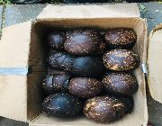 Coconut -- Other Business Opportunities -- Bulacan City, Philippines