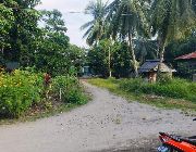 SAN PABLO TACURONG NEAR NFA LOT FOR SALE -- Land -- Tacurong, Philippines