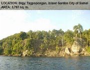 beach properties -- Land -- Davao del Norte, Philippines