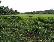 FARM LOT -- Land & Farm -- Quezon Province, Philippines