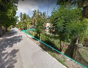 LOT ONLY LOT FOR SALE -- Land -- Bohol, Philippines