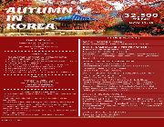 AUTUMN KOREA, budget korea, group tour korea, oriental discovery tours and travel co.l -- Travel Agencies -- Rizal, Philippines