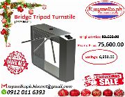 Bridge Tripod Turnstile CSTSE011 -- Detective Services -- Laguna, Philippines