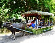 #daytours #philippines #tours #citytours #villaescudero -- Tour Packages -- Quezon Province, Philippines