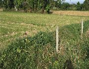 baliuag lot for sale, lot for sale in baliuag, bulacan lot for sale -- Land -- Bulacan City, Philippines