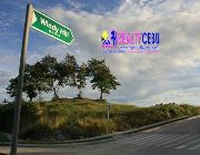 340m² LOT FOR SALE IN THE HERITAGE MARIA LUISA NORTH MANDAUE -- Land -- Cebu City, Philippines