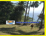 beach properties -- Land & Farm -- Davao del Norte, Philippines