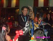 Party needs -- Arts & Entertainment -- Metro Manila, Philippines