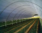 greenhouse, uv treated film, farm, garden, weed control, covering, protection, netting, shading, mulch protection, geo membrane, flower shade, cactus, orchids, hydroponic, aquatic, -- Architecture & Engineering -- Quezon Province, Philippines