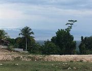 residential lot -- Land -- Davao del Norte, Philippines