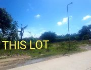 lapulapulotforsale -- Land -- Cebu City, Philippines