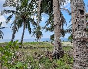 Beach Front -- Land -- Albay, Philippines