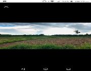 Rush Sale Lot -- Land -- Bohol, Philippines