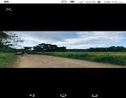 Rush Sale Lot -- Land -- Bohol, Philippines
