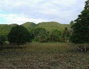 Land for Sale -- Land -- Bohol, Philippines