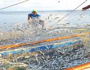 FISHING SUPPLY SUPPLIES EQUIPMENT EQUIPMENTS Philippines -- Everything Else -- Metro Manila, Philippines