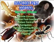 Termite Control, General Pest Control, Anay Control, Misting, Fogging, Disinfection Treatment -- Pest Control -- Davao City, Philippines