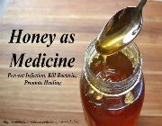 Honey bee, wild honey -- Natural & Herbal Medicine -- Metro Manila, Philippines