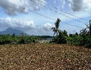 Farm, Lot, Residential, vacant, agricultural -- Land & Farm -- Batangas City, Philippines