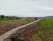 ricefield, palayan, farm, land, lot, business -- Land & Farm -- Rizal, Philippines