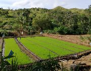 farm, agriculture, ranch -- Farms & Ranches -- Nueva Vizcaya, Philippines