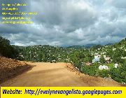 ANTIPOLO LOT FOR SALE BLUE MOUNTAINS OVERLOOKING LOT -- Land & Farm -- Rizal, Philippines