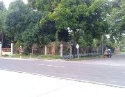 Commercial Lot for sale -- Land -- Silay, Philippines
