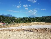 Lot for sale -- Condo & Townhome -- Ligao, Philippines