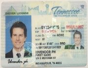 Fake id -- Other Services -- Quezon City, Philippines
