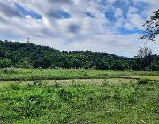 lot for sale, zambales lot for sale, property for sale in zambales, zambales -- Land & Farm -- Zambales, Philippines